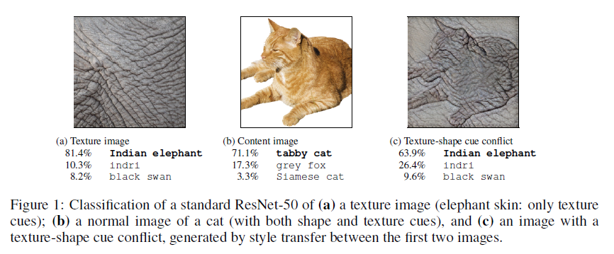 ImageNet_trained_CNN_texture/ImageNet-Trained_figure-1.png